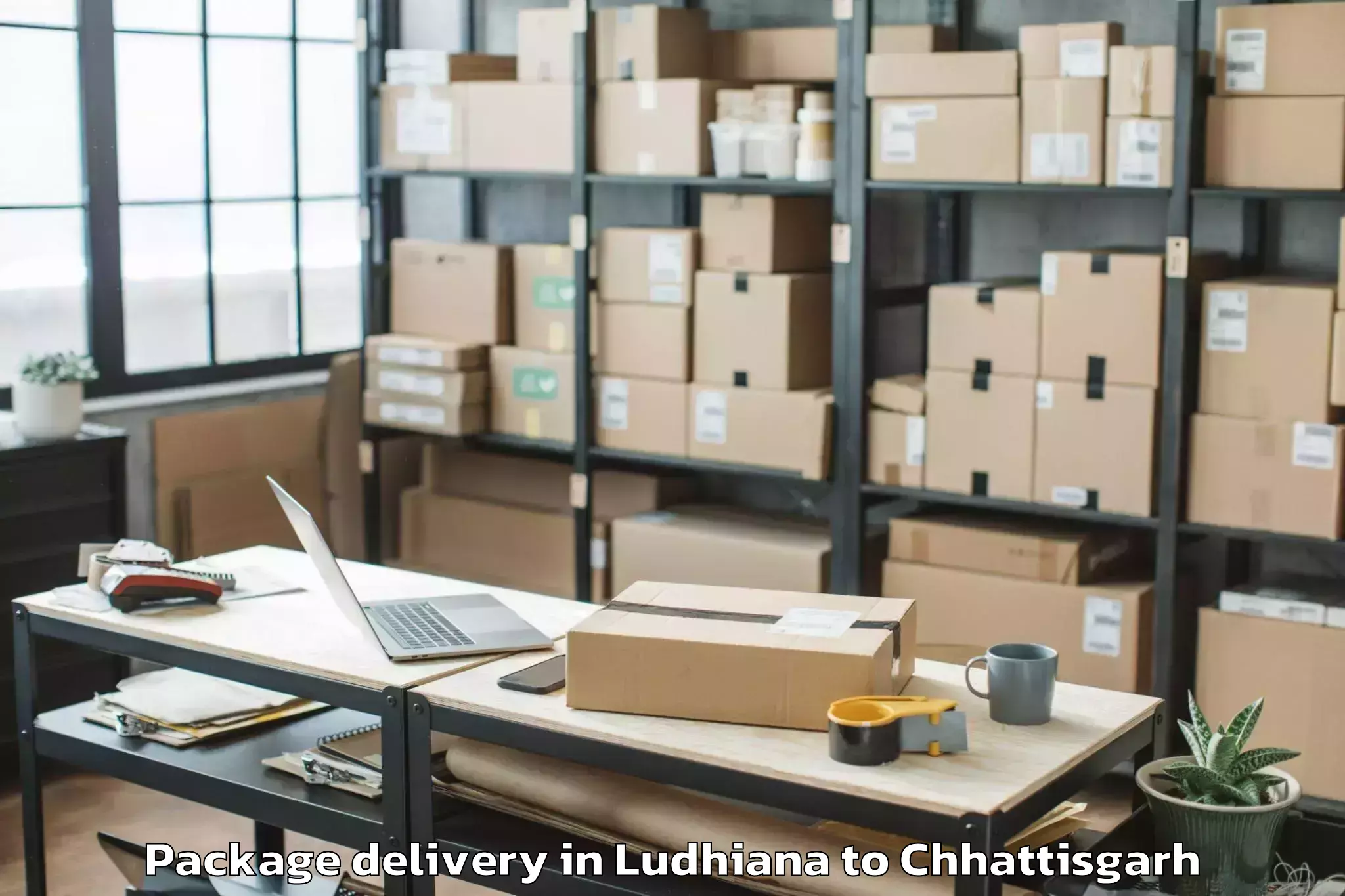 Top Ludhiana to Bhairamgarh Package Delivery Available